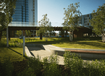 A skateboarder descends a ramp in a park, surrounded by lush landscaping and vibrant greenery.